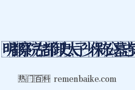 明都察院左都御史太子少保陈公墓志铭是什么意思的图片